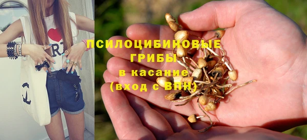 МДПВ Белокуриха