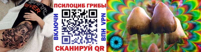 Псилоцибиновые грибы Cubensis  наркотики  Наро-Фоминск 