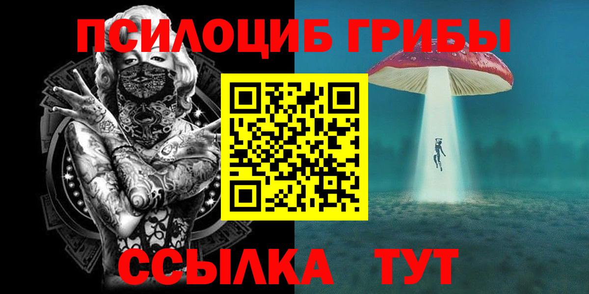 Наро-Фоминск  Галлюциногенные грибы Psilocybine cubensis  Вход с VPN 